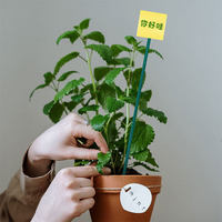 Tuteur de plante moderne en bambou vert anti-chute avec support fixe pour usage intérieur/extérieur, pour la fixation des fleurs et des arbres à monnaie, tuteur simple