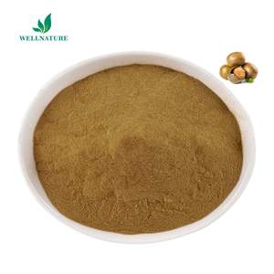 甘味料オーガニックLuoHanGuoパウダーモグロシドV50% モンクフルーツエキスFructusMomordicaeエキス - Product Image 1