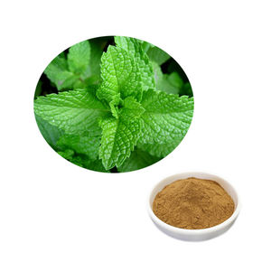 HONGDAサプライミントエキスメントールミントパウダーペパーミント - Product Image 3