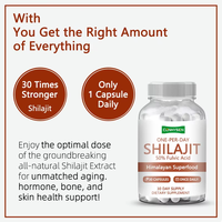 Supplément en capsules de Shilajit UN PAR JOUR de marque privée pour améliorer la perméabilité de la peau et aider à augmenter la densité minérale osseuse