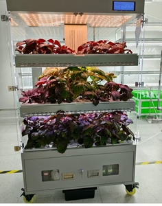 Suministros de Cultivo Hidropónico para el Hogar, Sistema Hidropónico Vertical Completo para Cultivar Vegetales, Sistema de Riego Hidropónico Sensh-50 - Product Image 6