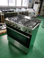 Grosir Pabrik OEM/ODM jenis Las berdiri bebas Oven Gas
