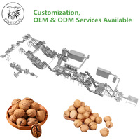 Noix de macadamia Noix de pécan Pistache Amande Noix de cajou Noix de cajou Ceinture en maille à plusieurs niveaux Sécheur à air chaud Système de séchage continu
