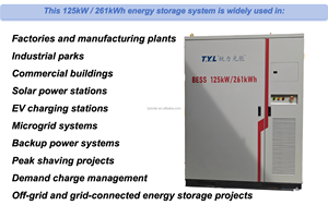Sistema de Almacenamiento de Energía de 125 kW, Batería de 261 kWh, ESS para Comercios e Industrias, Gabinete Comercial, BESS Industrial, Almacenamiento T.Y.L-125KW/261KWh Todo en Uno - Product Image 4