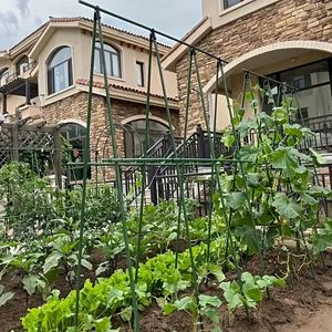 Erhältlich zu wettbewerbs fähigen Preisen Umwelt freundliche Garten dekor Metall pfähle Beste Qualität Landwirtschaft Garten pfähle - Product Image 1