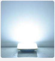Lampe LED de camping extérieure mince, lampe LED de tente mobile, IP65, intensité réglable, portable, rechargeable par USB, batterie au lithium
