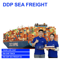 Transitaires DDP pour Importateurs Récurrents Chine-UE, Transport Maritime et Routier, Taxes Payées, Livraison Porte-à-Porte, Retrait Fournisseur, LCL FCL, Dédouanement, Amazon FBA