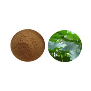 Lian Ye Groothandel 100% Puur Gedroogd Lotusblad <span class=keywords><strong>Extract</strong></span> Poeder 98% Nuciferine Kruid Specerij Export Rauw - Product Image 6