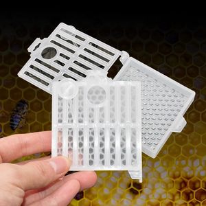 Nuovo Design Gabbia da Spedizione Trasparente per Ape Regina Casetta per Insetti Scatola Postale per Trasporto Strumenti in Plastica per Allevamento Forniture per Apicoltura - Product Image 2