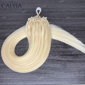 Nuovo arrivo capelli biondi russi Micro anello <span class=keywords><strong>piume</strong></span> capelli umani htip Extensions peso leggero <span class=keywords><strong>e</strong></span> invisibile H6 estensione dei capelli - Product Image 3