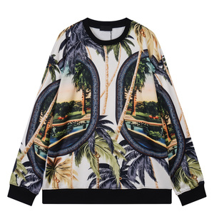 Sudadera Casa <span class=keywords><strong>Blanca</strong></span> de Diseño Hip-Hop, Extra Grande, Transpirable, con Logotipo Personalizado Serigrafiado para Hombre - Product Image 1