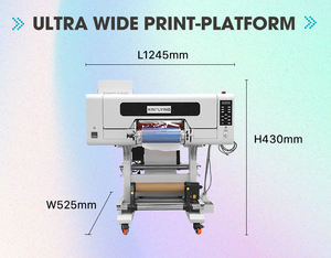 Impresora DTF UV rollo a rollo A3, 30CM, tamaño 3, cabezales de impresión CMYK + W + V, máquina impresora UV DTF de alta precisión - Product Image 3