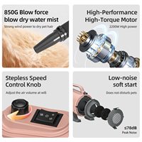 Sèche-cheveux puissant pour animaux Shernbao SHD-2600P, faible bruit, séchage rapide, pour toilettage canin