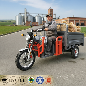 Triciclo Eléctrico <span class=keywords><strong>de</strong></span> 72V <span class=keywords><strong>de</strong></span> Alta Potencia para <span class=keywords><strong>Transporte</strong></span> <span class=keywords><strong>de</strong></span> Carga y Pasajeros, Motocicleta <span class=keywords><strong>de</strong></span> 3 Ruedas para Agricultura, Venta Ambulante y Desplazamientos Diarios en <span class=keywords><strong>Europa</strong></span> - Product Image 1