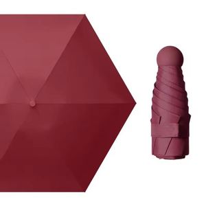 Parapluie de voyage léger pliable en cinq sections en nylon 190T avec un design moderne et luxueux pour femmes, idéal pour les cadeaux d'affaires - Product Image 1