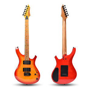 Guitare la plus vendue avec plusieurs panneaux de couleur, finition peinte, petit pont vibrato à double bras et interrupteur à 5 positions - Product Image 4