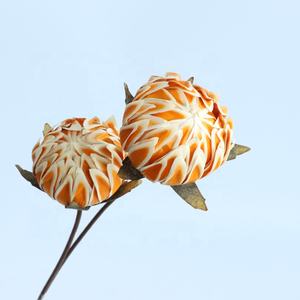 Flores Secas Protea de Alta Calidad al por Mayor, Tacto Real, para Decoración de Bodas y Hogar, Flores de Lavanda Secas - Product Image 3