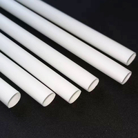Pailles en acide polylactique biodégradables de 6 mm de diamètre pour un usage unique dans l'eau, les boissons, le café, les jus, les fêtes et les bars.