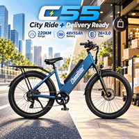 Vélo électrique de livraison Chamrider 48V 55Ah avec pneus anti-crevaison 26x3.0, couple de 80Nm, cadre basse montée pour livraison de marchandises, modèle C 55