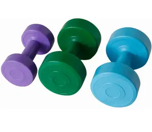 家庭健身房锻炼彩色塑料聚乙烯水泥橡胶哑铃