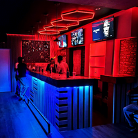 Éclairage hexagonal professionnel unique à décoloration pour intérieur, RGB, salle de sport, boîte de nuit, garage, lumière verte et rouge