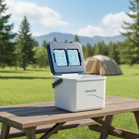 Glacière de pique-nique et camping 12L, isotherme, moderne, portable, écologique, durable, réutilisable, multifonctionnelle, en PE
