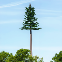 Torre de Telecomunicaciones Camuflada Tipo Árbol Biónico para 4G/5G, Mástil de Acero Galvanizado en Caliente con Tubo Redondo para Zonas Residenciales, Parques y Áreas Escénicas