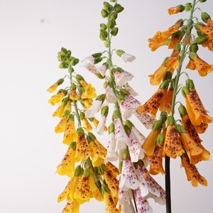 Fiori Artificiali di <span class=keywords><strong>Digitalis</strong></span> Realistici in Lattice Fatti a Mano per Matrimoni, Halloween e Decorazioni Murali - Festa della Mamma - Product Image 1