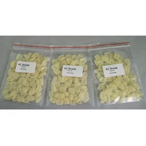 Carillas de resina de una capa - Product Image 1