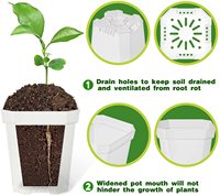 Pot de pépinière transparent de 3 pouces, Pots de plantation carrés en plastique épais sans soucoupes Pots de semis de plantes avec étiquettes pour plantes