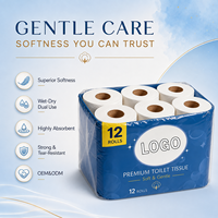 Fournisseur chinois de papier toilette en gros, rouleaux compacts et soignés, pour la vente au détail, les centres, les salles de bain, les toilettes, les recharges, et le papier toilette de petite taille