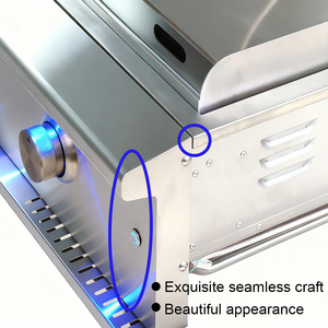 Mobile da Cucina Esterno di Alta Qualità in Acciaio Inox SUS304 con Barbecue Integrato, Fornello a Gas a Doppio Bruciatore con Coperchio - Product Image 2