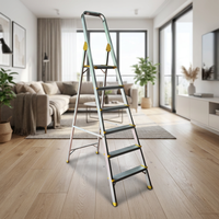 Échelle pliante en aluminium antidérapante, capacité de charge de 150 kg, robuste et durable pour la maison