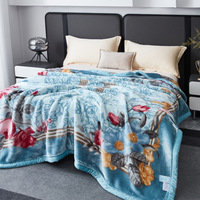 Luxus koreanische Nerz gestrickte Raschel decke Warm weich Polyester 8 kg Doppelbett 2-lagiges Cartoon-Muster Winter wurf decke