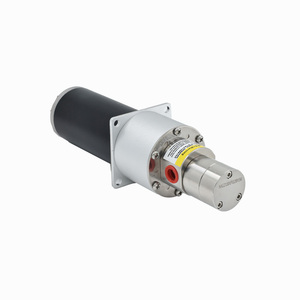 ปั๊มเกียร์แม่เหล็กทนความร้อนสูงแบบปรับแต่งได้ 24V 60W 5 บาร์ ซีล EPDM/PTFE มอเตอร์แบบปิดสนิทไม่มีช่องระบายอากาศ รับประกัน 1 ปี - Product Image 2