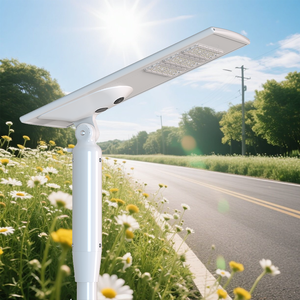 Lampadaires LED solaires extérieurs IP65 en aluminium avec capteur, 80W, 100W, 120W, 300W, batterie intégrée, haute efficacité, éclairage routier FL-YTH- - Product Image 1