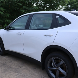 <span class=keywords><strong>Voiture</strong></span> électrique JMEV EWIND RHD avec système d'air frais à ions négatifs et PM2.5 - Product Image 1