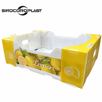 Emballage en plastique PP Corflute Boîte d'emballage de stockage en polypropylène ondulé en plastique citron fruits et légumes