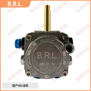 Pompe à huile de moteur à combustion Riello R.B.L.40G pour les modèles G5 G5LC G10G10LC G20 G20LC - Product Image 5