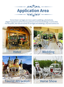 Fabricante de Carruajes Reales, Vehículo Eléctrico para Bodas, Vagoneta Eléctrica para Turismo, Carruaje Eléctrico sin Caballos - Product Image 6