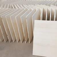 Tablero de madera Pawlonia de estilo moderno de 2440x1220mm de hermosa calidad para deportes acuáticos del Reino Unido para Decoración