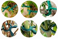 Écologique Réutilisable PP Durable Léger Jardin Support Serre Plante Fixe Clips Vigne Fleur Tomate Semis Support