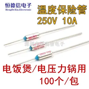Electric Cooker Temperature Fuse Tube Metal RY-85 Tf 85 Degrees 10.0 250V Electric Food Warmer