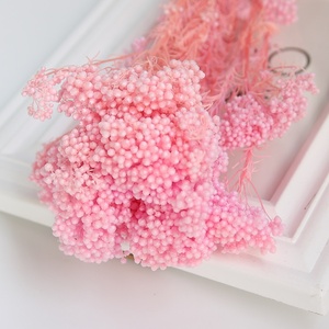 C225 Venta caliente boda decorativa Rosa Blanco Bouquet fresco Natural <span class=keywords><strong>de</strong></span> arroz seco <span class=keywords><strong>flores</strong></span> - Product Image 6