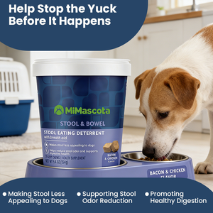 Pet Health Care &amp; Supplements, Private Label Coprophagia <strong>Treatment</strong> Chews - Wholesale Pet Supplement to Stop <strong>Dogs</strong> Eating Poop - Product Image 2