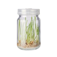 Botella de cristal transparente y redonda para cultivo de orquídeas, 350 ml, con tapas de plástico, suministro de fábrica