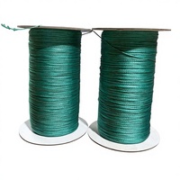 Cuerda Plana de Aramida UHMWPE de 0.6mm, Cuerda para Cometa de Alta Resistencia y Ligera, Línea de Vuelo para Parapente, Hilo Trenzado Resistente al Desgaste