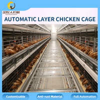 Vente en gros de cages automatiques pour poules pondeuses, équipement d'élevage avicole, vente directe d'usine, 90-160 oiseaux par cage, personnalisable