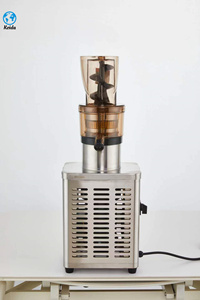 2024 nouvelle presse à froid industrielle calamansi extracteur de jus fruits orange presse-agrumes grande alimentation port gingembre carottes presse-agrumes - Product Image 2