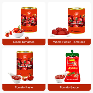 <span class=keywords><strong>Ketchup</strong></span> de tomate de haute qualité et délicieux avec étiquette privée en sachet, pur et épais <span class=keywords><strong>sans</strong></span> additifs - Product Image 3